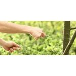 Fierastrau de buzunar, tip sarma, camping si drumetii, otel, 71 cm fotografia produsului View 6 S