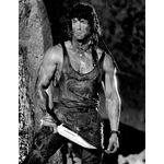 Cutit, baioneta, Rambo 3, editie de colectie, 42 cm, teaca inclusa fotografia produsului View 8 S