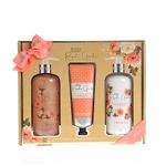 Set 3 produse cosmetice pentru corp fotografia produsului