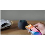Boxa Inteligenta HomePod Mini Negru Boxa Inteligenta Apple HomePod Mini (Negru) fotografia produsului View 2 S