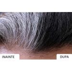 Sampon de vopsire a parului, negru, Instant, Sevich, 250 ml fotografia produsului View 5 S