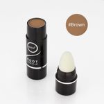 Pudra corector pentru radacina firului de par, Touch-Up, 2.5g, saten fotografia produsului View 3 S