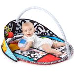 Saltea de joaca Baby Einstein - Bold New World fotografia produsului View 3 S