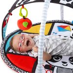 Saltea de joaca Baby Einstein - Bold New World fotografia produsului View 4 S