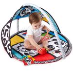 Saltea de joaca Baby Einstein - Bold New World fotografia produsului View 2 S