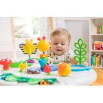 Centru de activitati 4 in 1 Baby Einstein, Around We Grow fotografia produsului