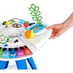 Centru de activitati 4 in 1 Baby Einstein, Around We Grow fotografia produsului View 4 S