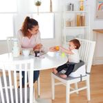 Scaun InGenuity de Masa Tip Booster Toddler Slate fotografia produsului View 5 S