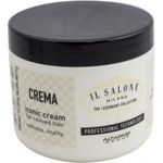 Alfaparf Salone Iconic Masca pentru par normal sau uscat, 500 ml fotografia produsului