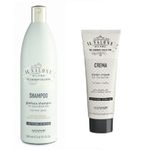 Set Alfaparf Salone cu 500 ml Glorious Sampon + 250 ml Iconic Masca fotografia produsului