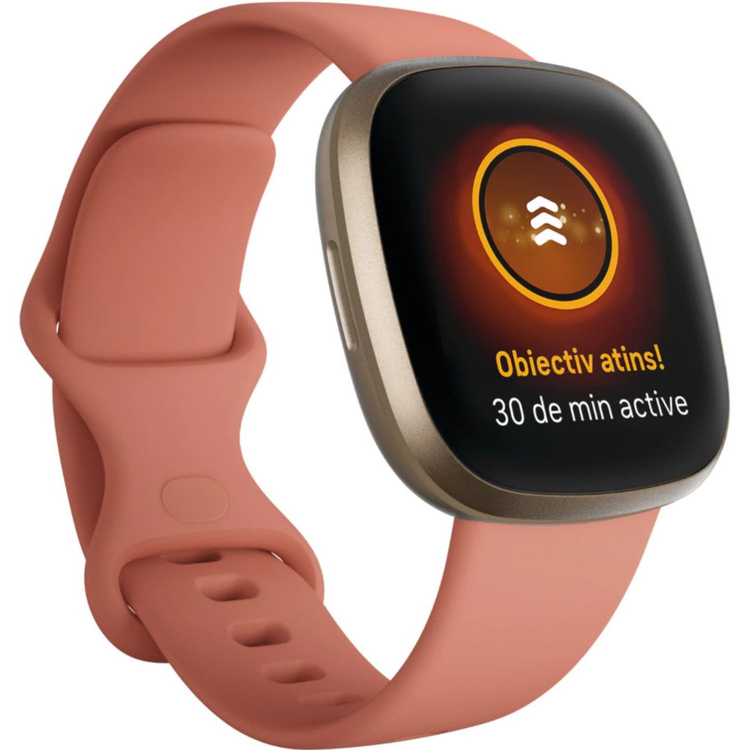Ceas activity tracker Fitbit Versa 3, NFC, WiFi, Bluetooth (Roz) fotografia produsului View 2 L