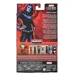 Figurina Articulata  Marvel Legends Series Marvel's Shriek 15cm fotografia produsului View 3 S