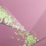 Set 4 buc Sare de baie Bamboo Forest 500g fotografia produsului View 4 S