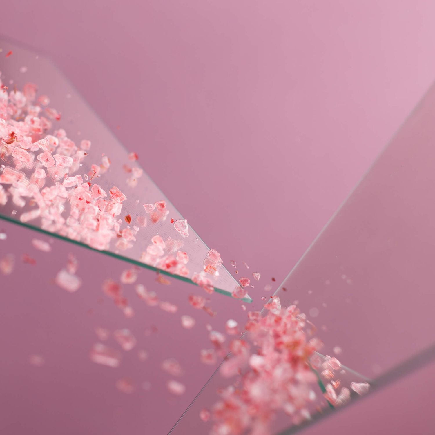 Set 4 buc Sare de baie Wild Rose 500g fotografia produsului View 2 L