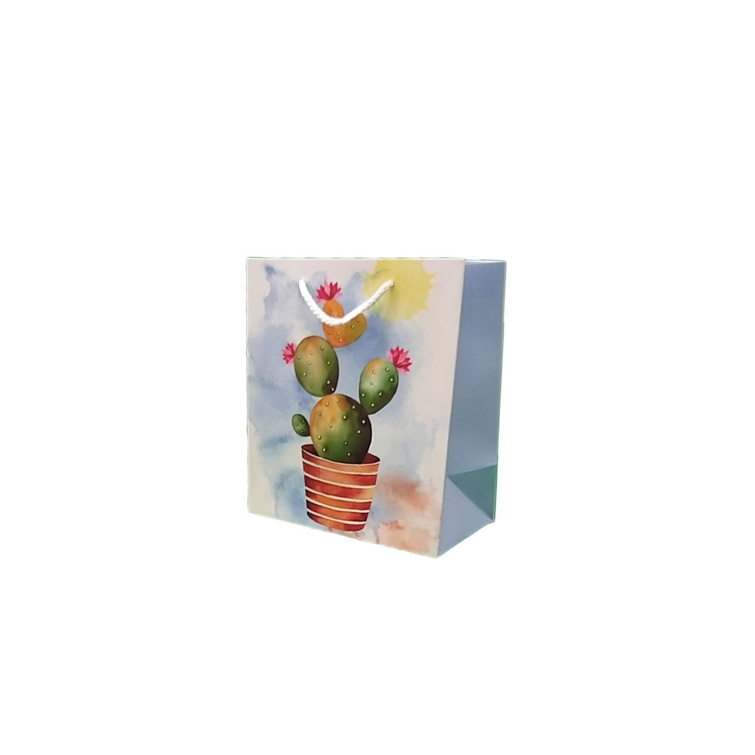Punga cadou mica model cactus 20x18x10cm fotografia produsului
