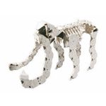 Schelet triceratop LaQ 320 piese fotografia produsului View 3 S