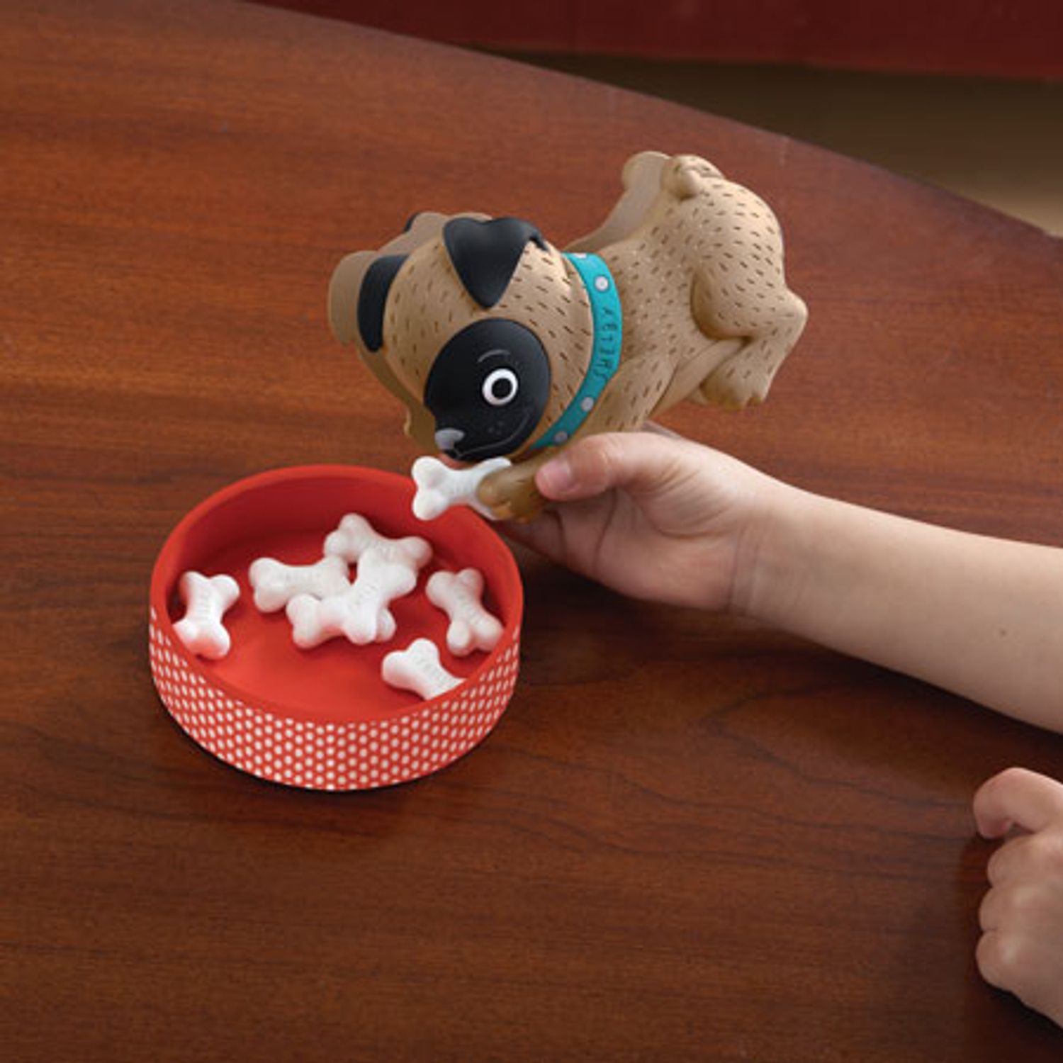 Ajuta catelul Shelby - Set educativ fotografia produsului View 3 L