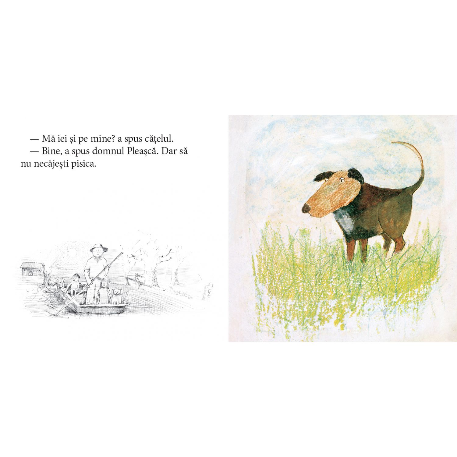 Plimbarea domnului Pleasca - John Burningham fotografia produsului View 6 L
