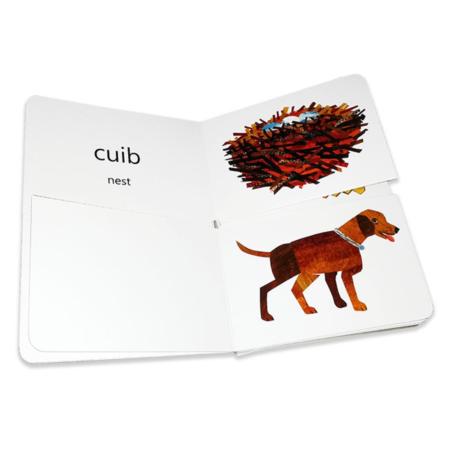Prima mea carte despre casele animalelor - Eric Carle fotografia produsului View 3 L