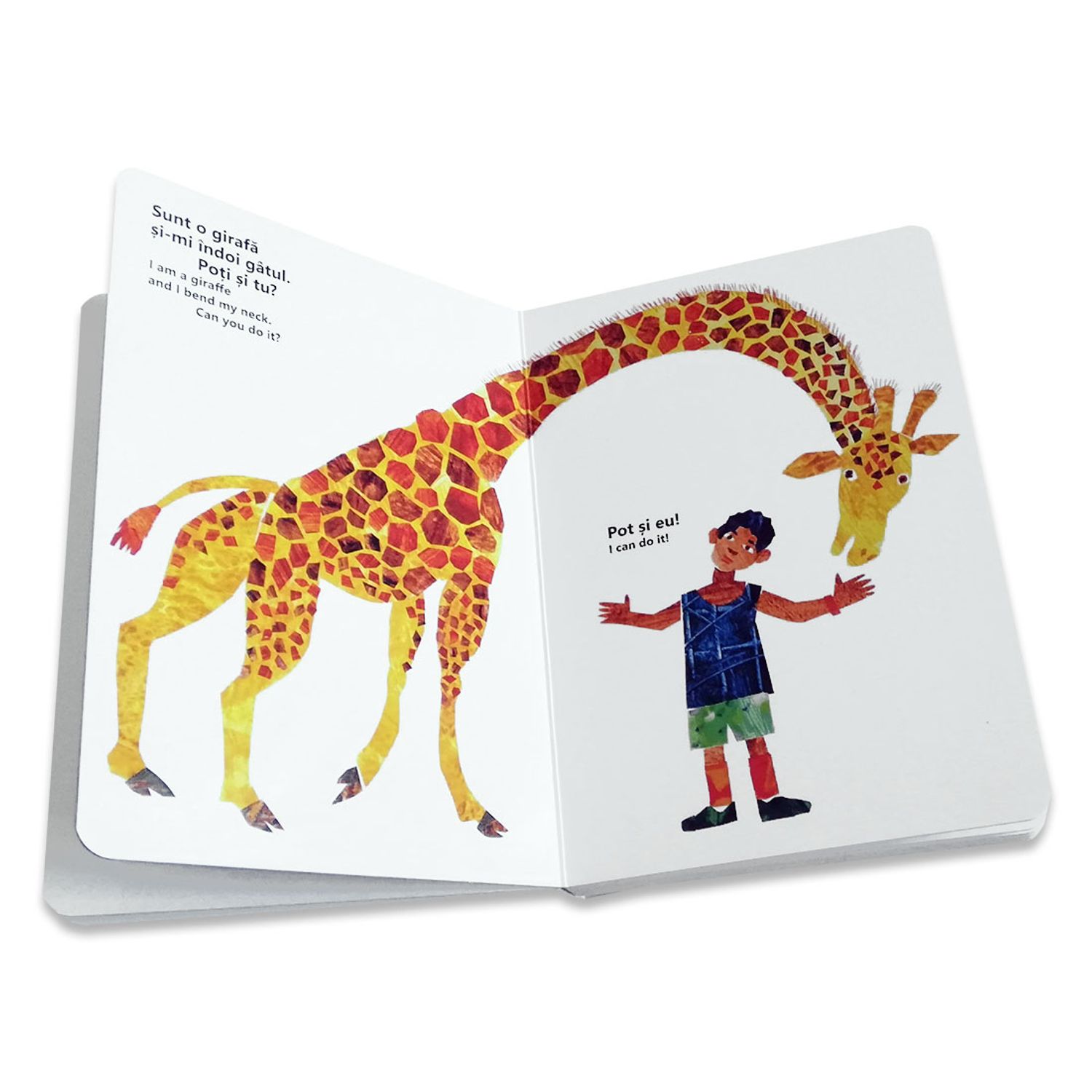 Din cap pana in picioare - Eric Carle - EPA103 fotografia produsului View 4 L
