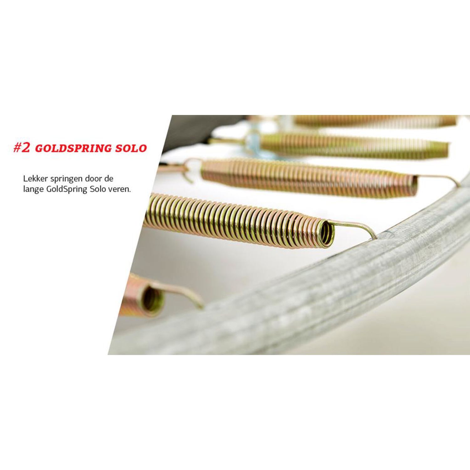 37091b1d-202f-4ba2-8cb3-e676ca7dce50 фото продукта View 5 L