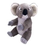 Urs Koala Ecokins - Jucarie Plus 30 cm fotografia produsului