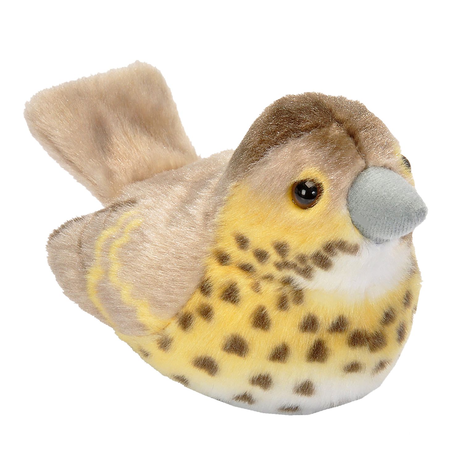 Pasare cu sunet Sturz cantator - SONG THRUSH fotografia produsului