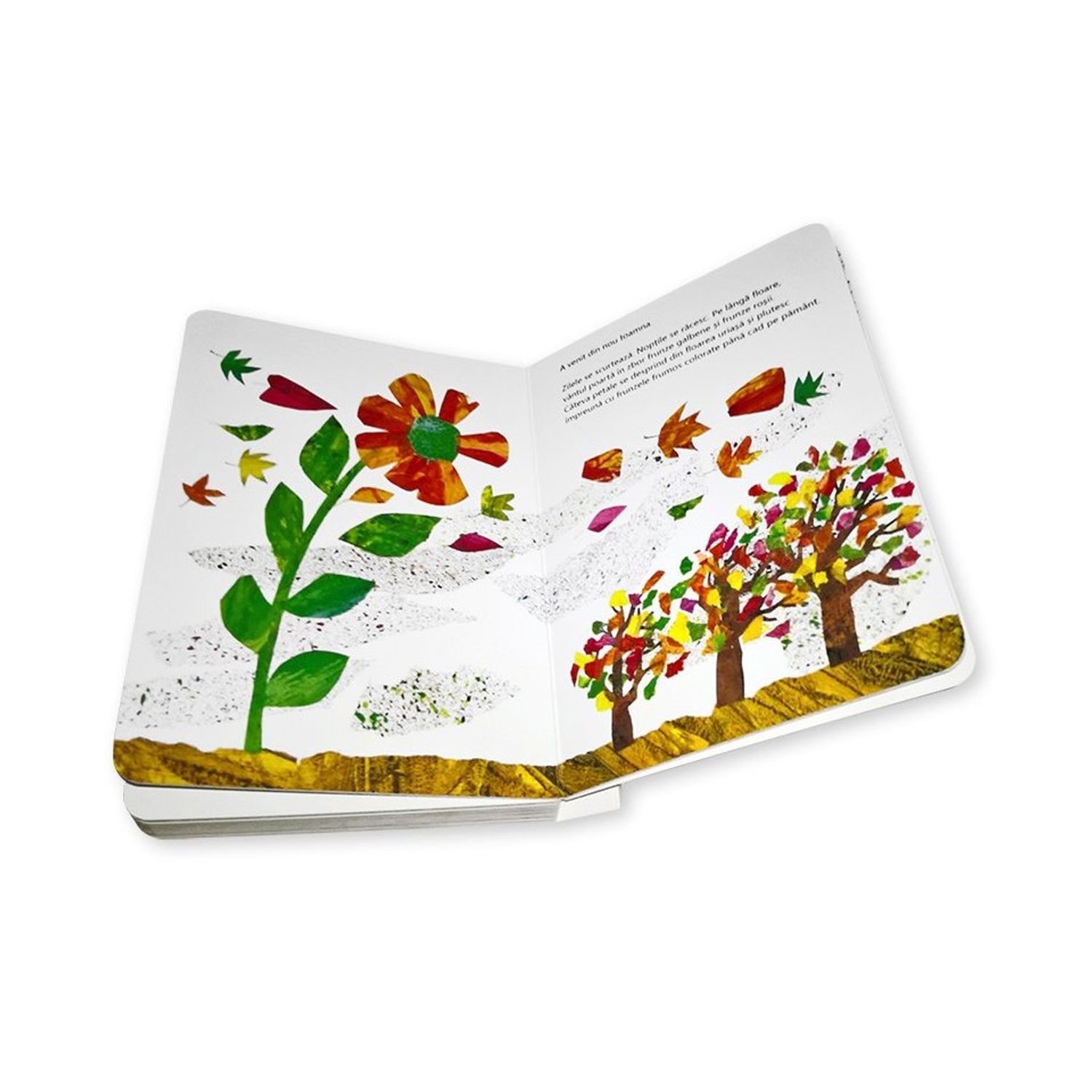 Mica samanta de Eric Carle fotografia produsului View 2 L