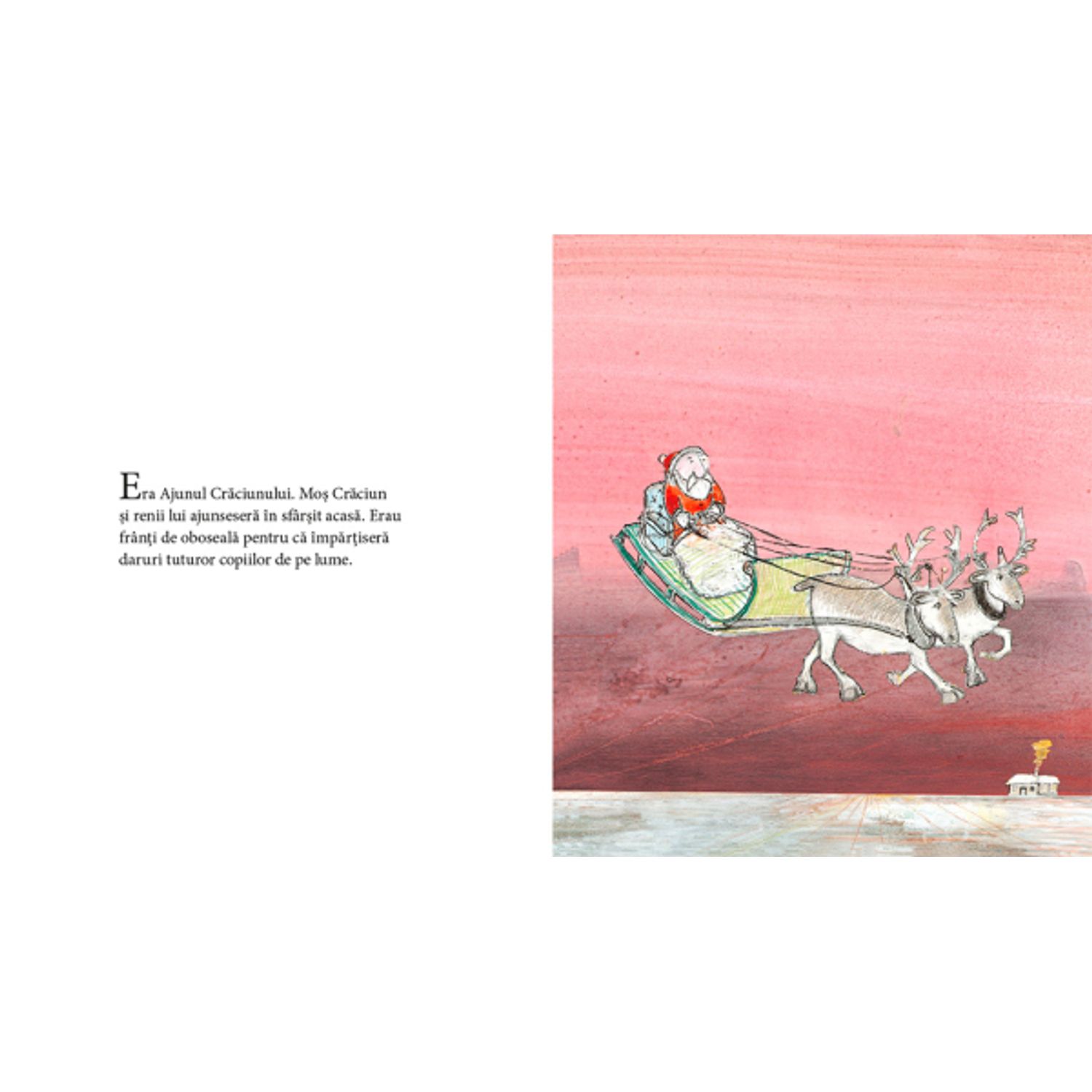 Un dar de Craciun pentru Horatiu Chifteluta - John Burningham fotografia produsului View 6 L