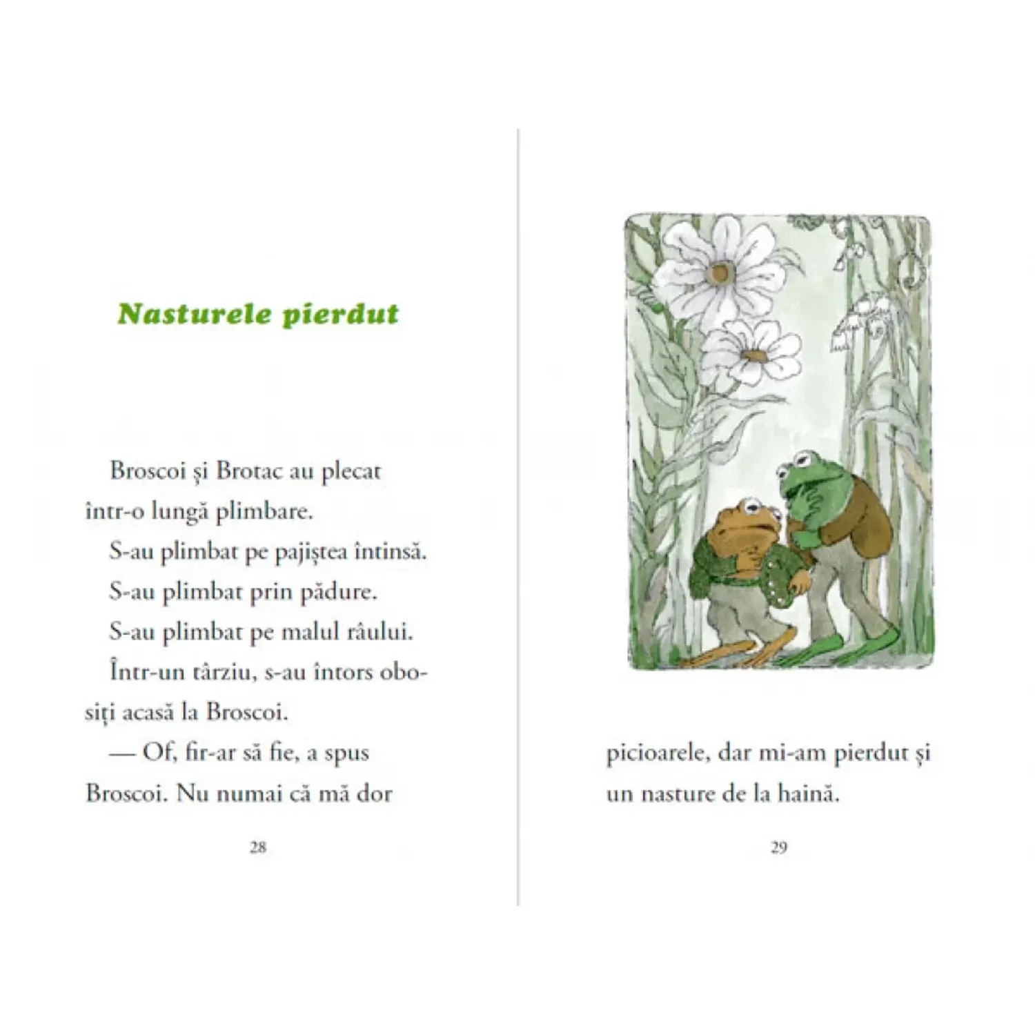 Broscoi si Brotac sunt prieteni, de Arnold Lobel fotografia produsului View 6 L