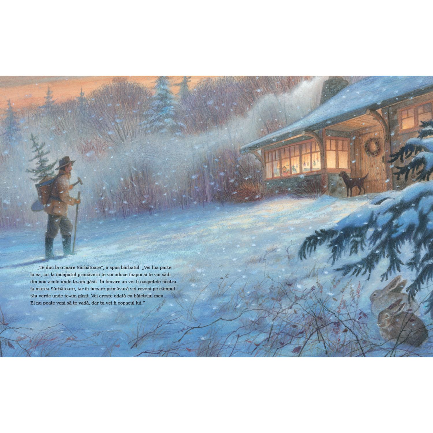 Micul brad de Margaret Wise Brown ilustratii de Jim LaMarche fotografia produsului View 4 L