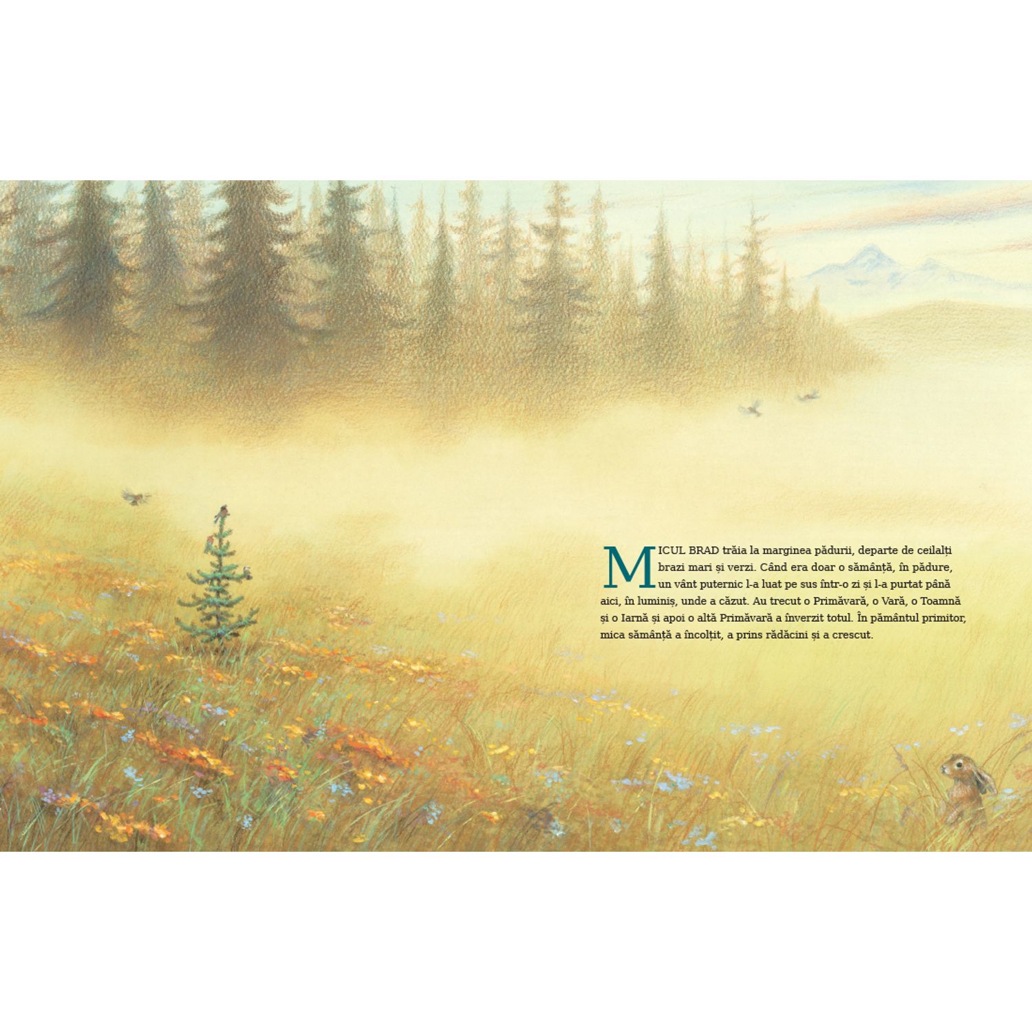 Micul brad de Margaret Wise Brown ilustratii de Jim LaMarche fotografia produsului View 2 L