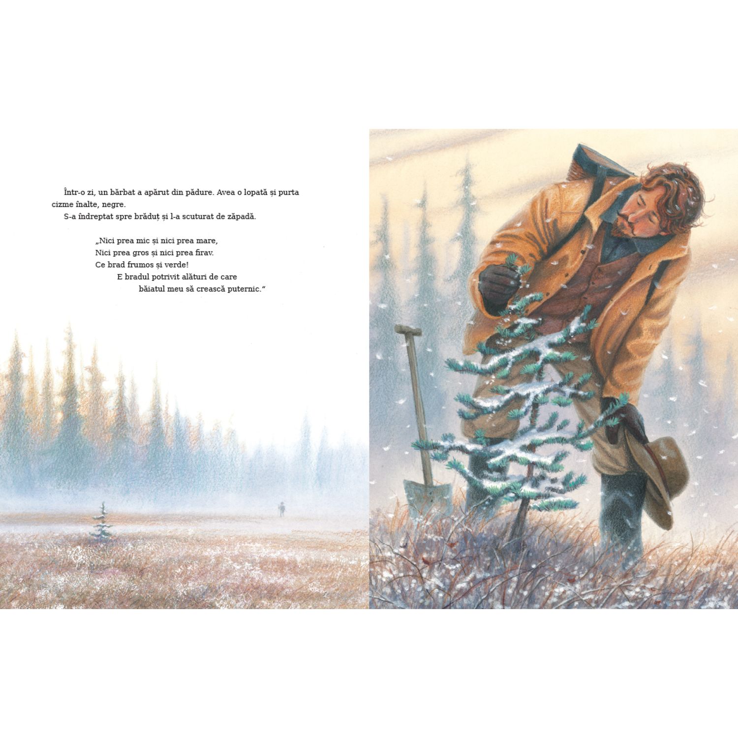 Micul brad de Margaret Wise Brown ilustratii de Jim LaMarche fotografia produsului View 5 L