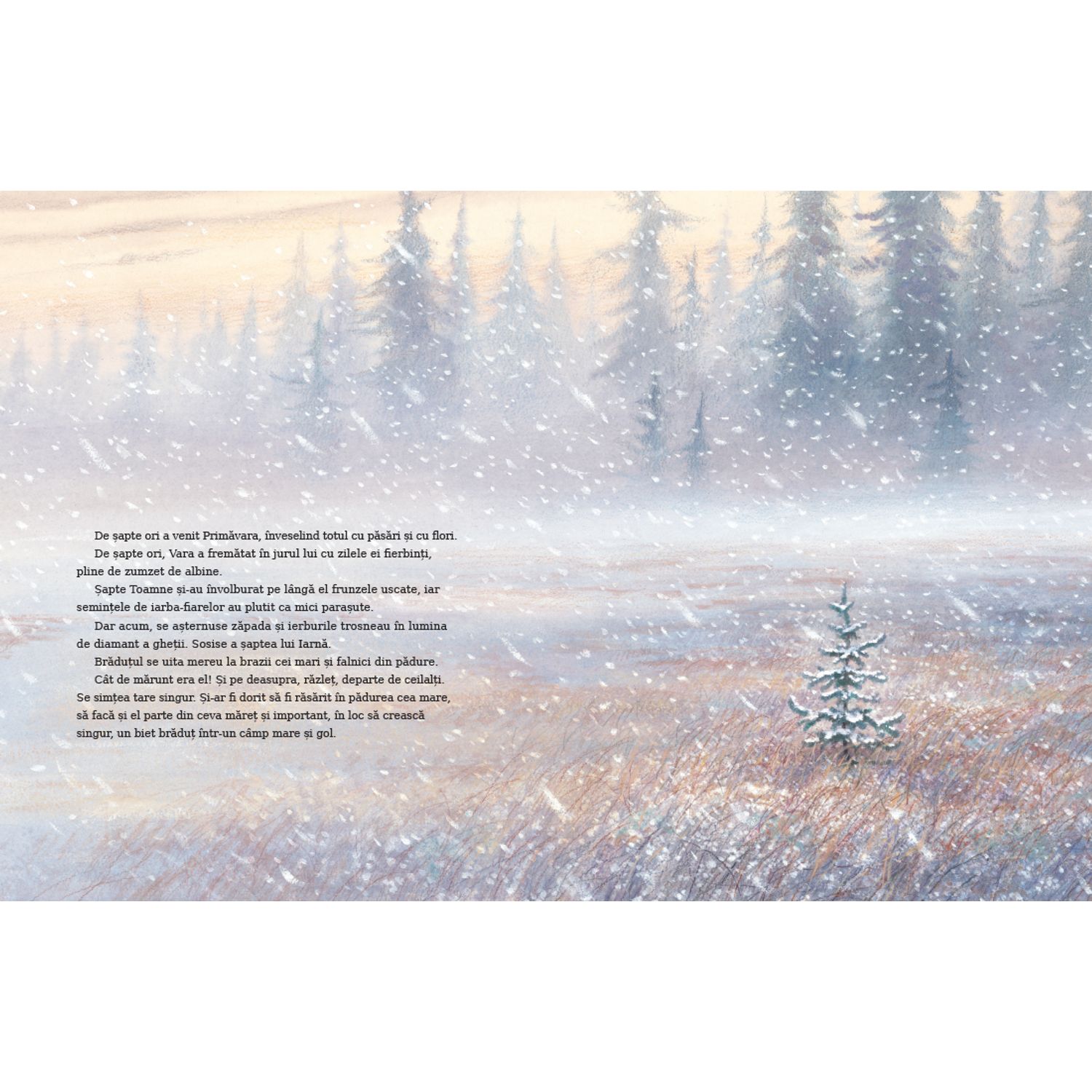 Micul brad de Margaret Wise Brown ilustratii de Jim LaMarche fotografia produsului View 6 L