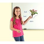 Ciclul vietii plantei - set magnetic fotografia produsului View 3 S