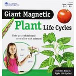 Ciclul vietii plantei - set magnetic fotografia produsului