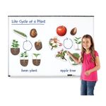 Ciclul vietii plantei - set magnetic fotografia produsului View 2 S