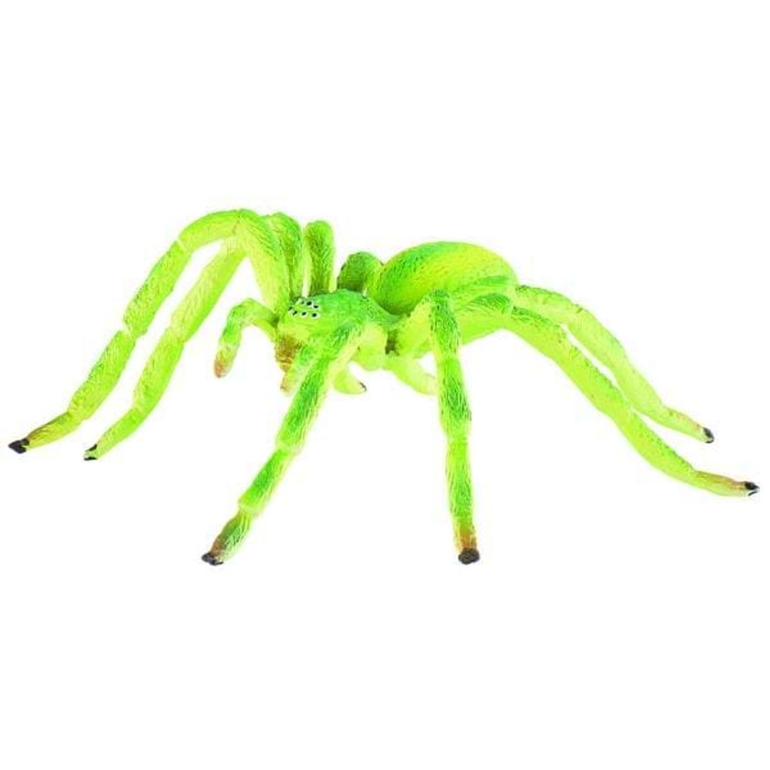 Paianjen verde Micrommata fotografia produsului
