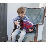 Acordeon mare - Instrument muzical copii - Negru fotografia produsului View 4 S