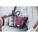 Acordeon mare - Instrument muzical copii - Negru fotografia produsului View 3 S