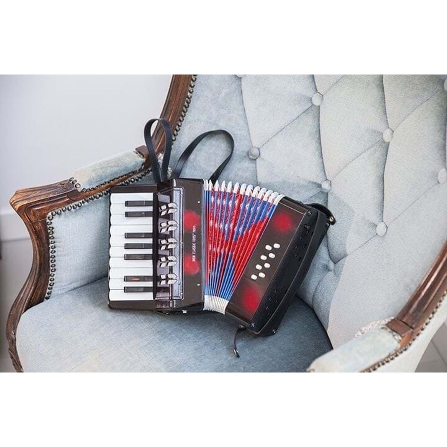 Acordeon mare - Instrument muzical copii - Negru fotografia produsului View 3 L