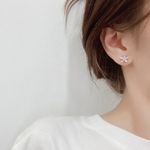 Cercei argintii, forma de floare, cu pietre din zirconiu, Jack C8 fotografia produsului View 3 S