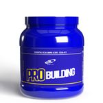 Aminoacizi pudra Pro Building Kiwilime 500g fotografia produsului
