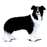 Figurina Border Collie - Animal figurina fotografia produsului