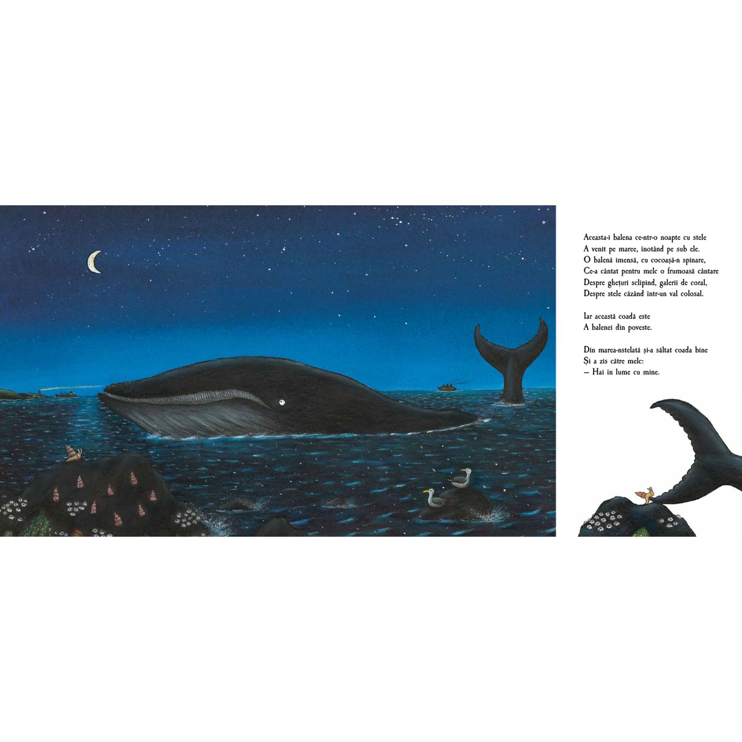 Melcul si balena - Julia Donaldson fotografia produsului View 4 L