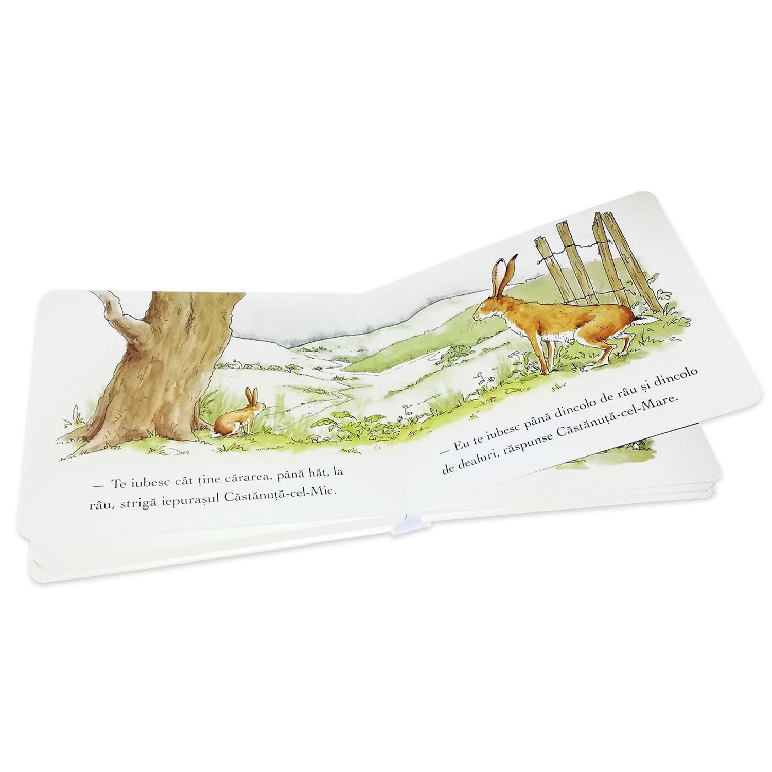 Ghici cat de mult - Carte cartonata integral - Sam McBratney fotografia produsului View 3 L