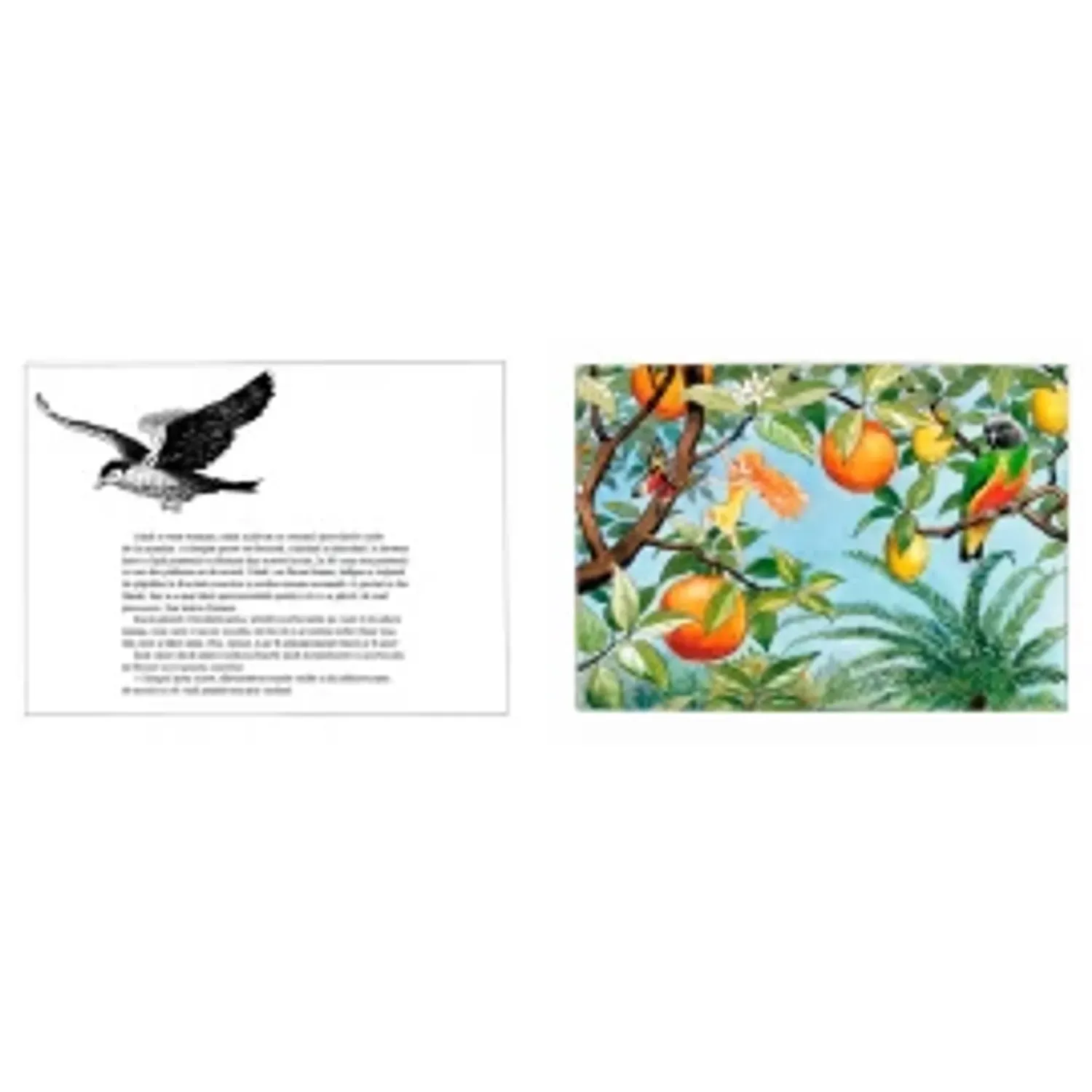Oul soarelui - Elsa Beskow fotografia produsului View 3 L