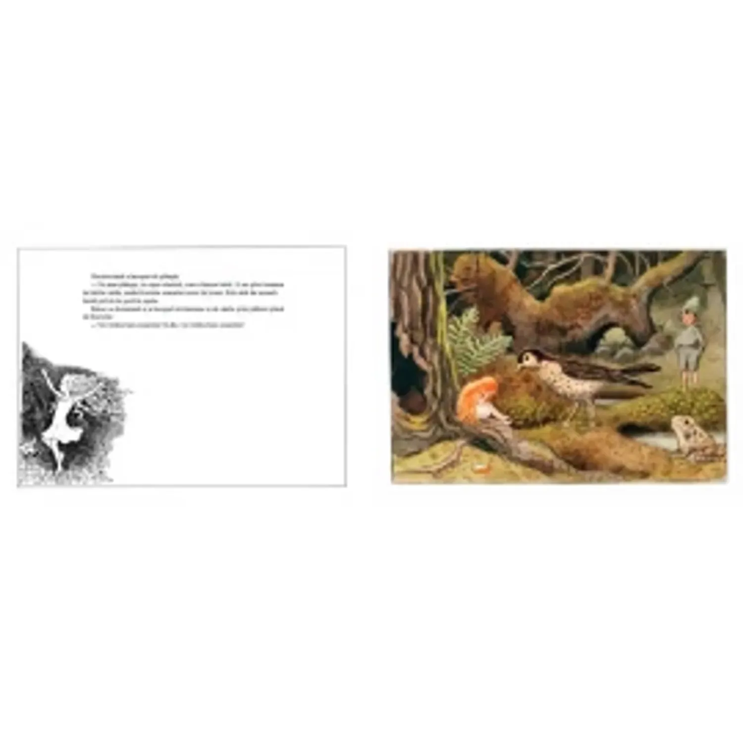 Oul soarelui - Elsa Beskow fotografia produsului View 2 L
