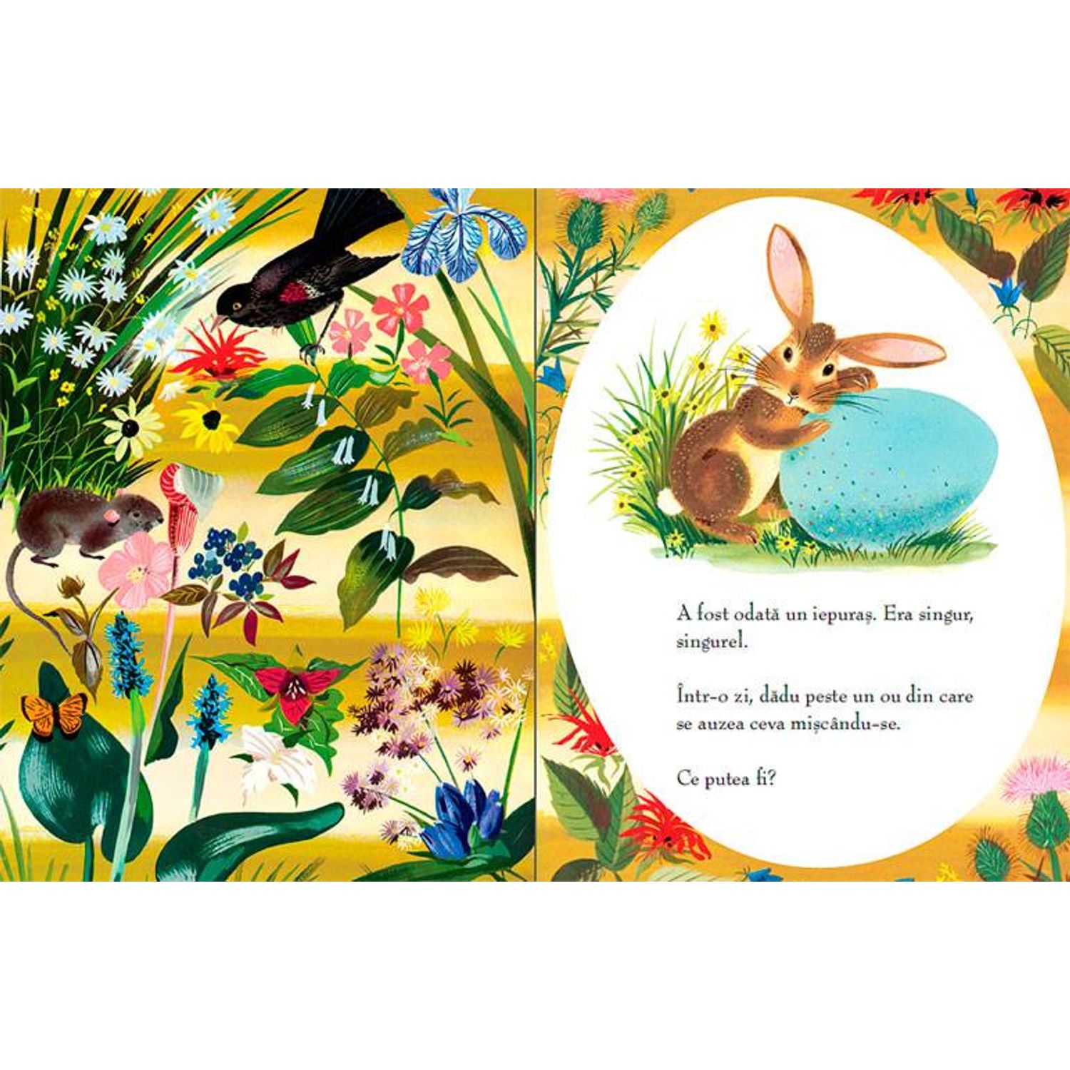Uite ce-a iesit din ou de MARGARET WISE BROWN fotografia produsului View 2 L
