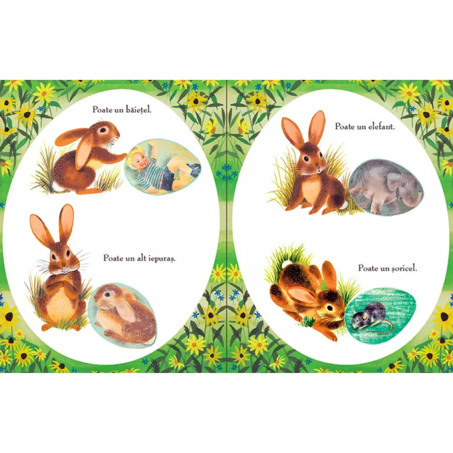 Uite ce-a iesit din ou de MARGARET WISE BROWN fotografia produsului View 5 L